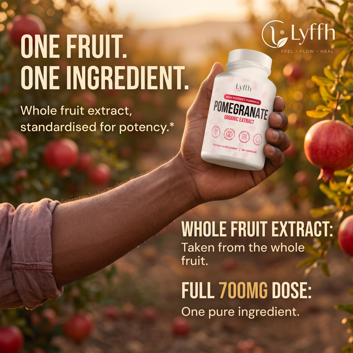 A hand holding the Pomegranate bottle in an orchard, with the full 700mg dose called out
