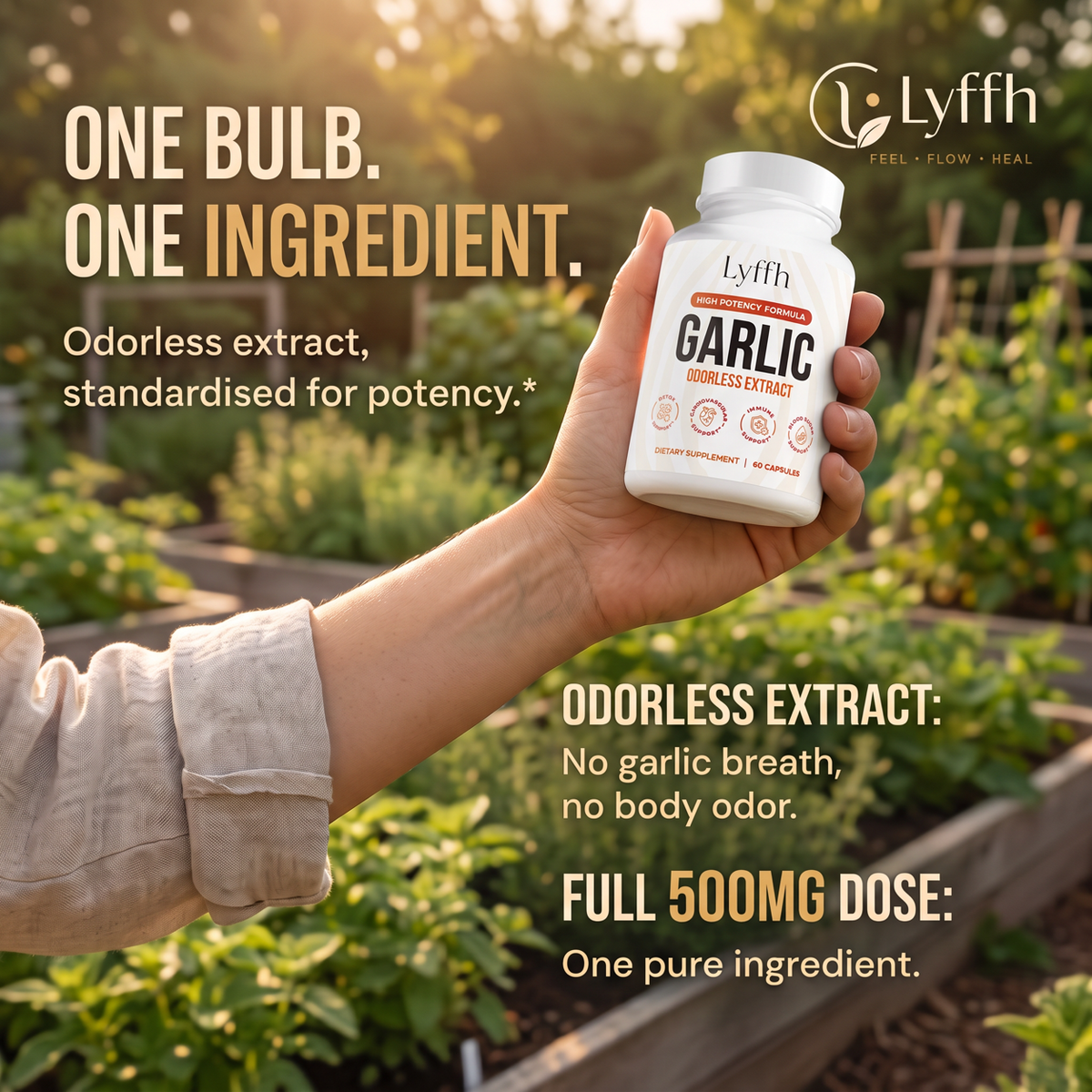 A hand holding the Garlic bottle in a kitchen garden, with the full 500mg dose called out