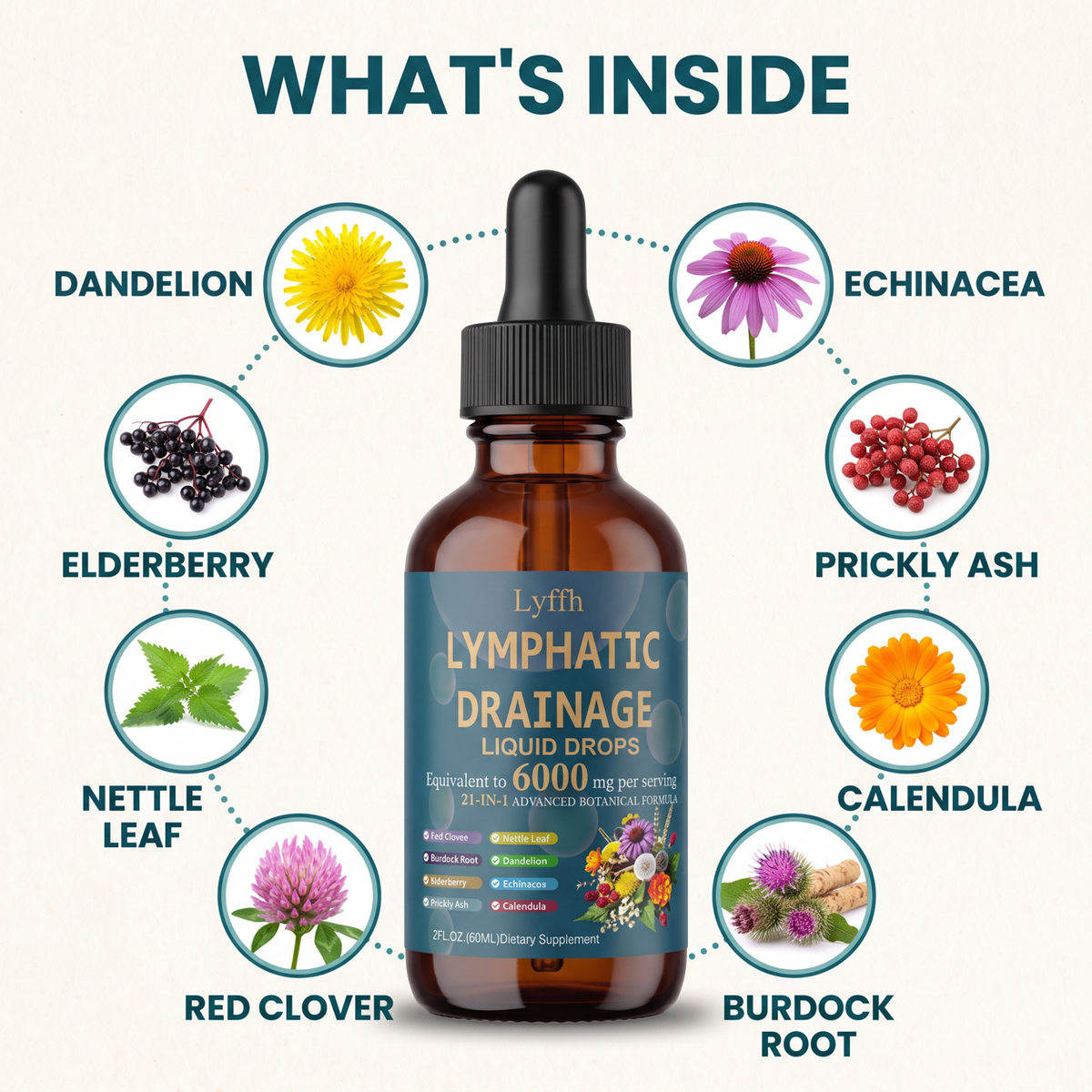 The eight botanicals named on the Lymphatic Drainage Drops label, arranged around the bottle