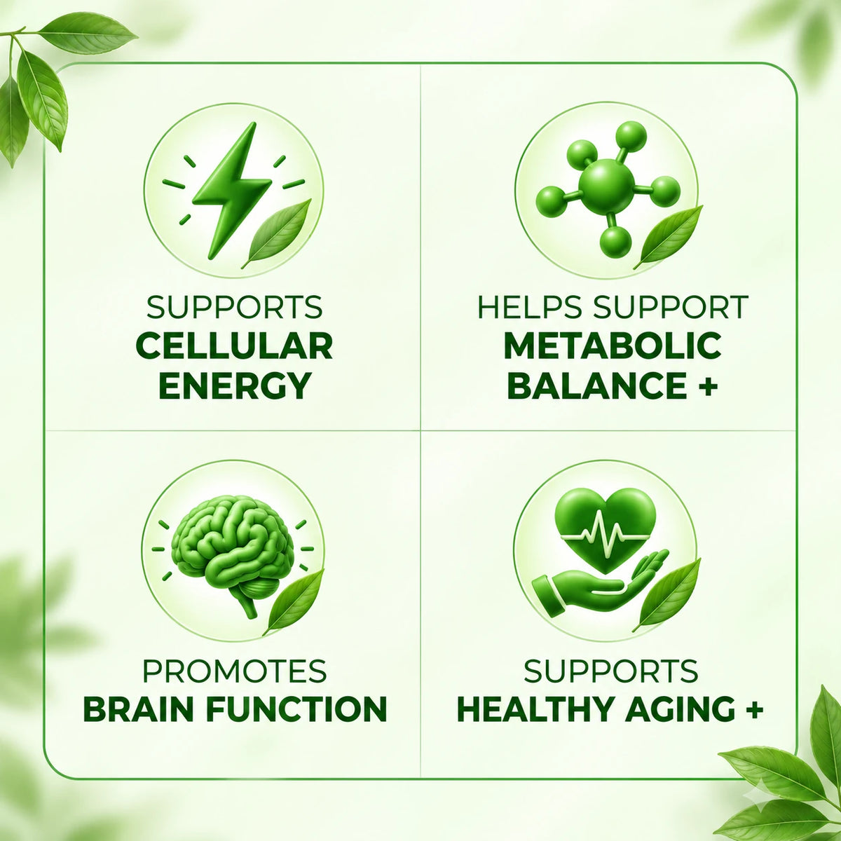 Amla health benefits