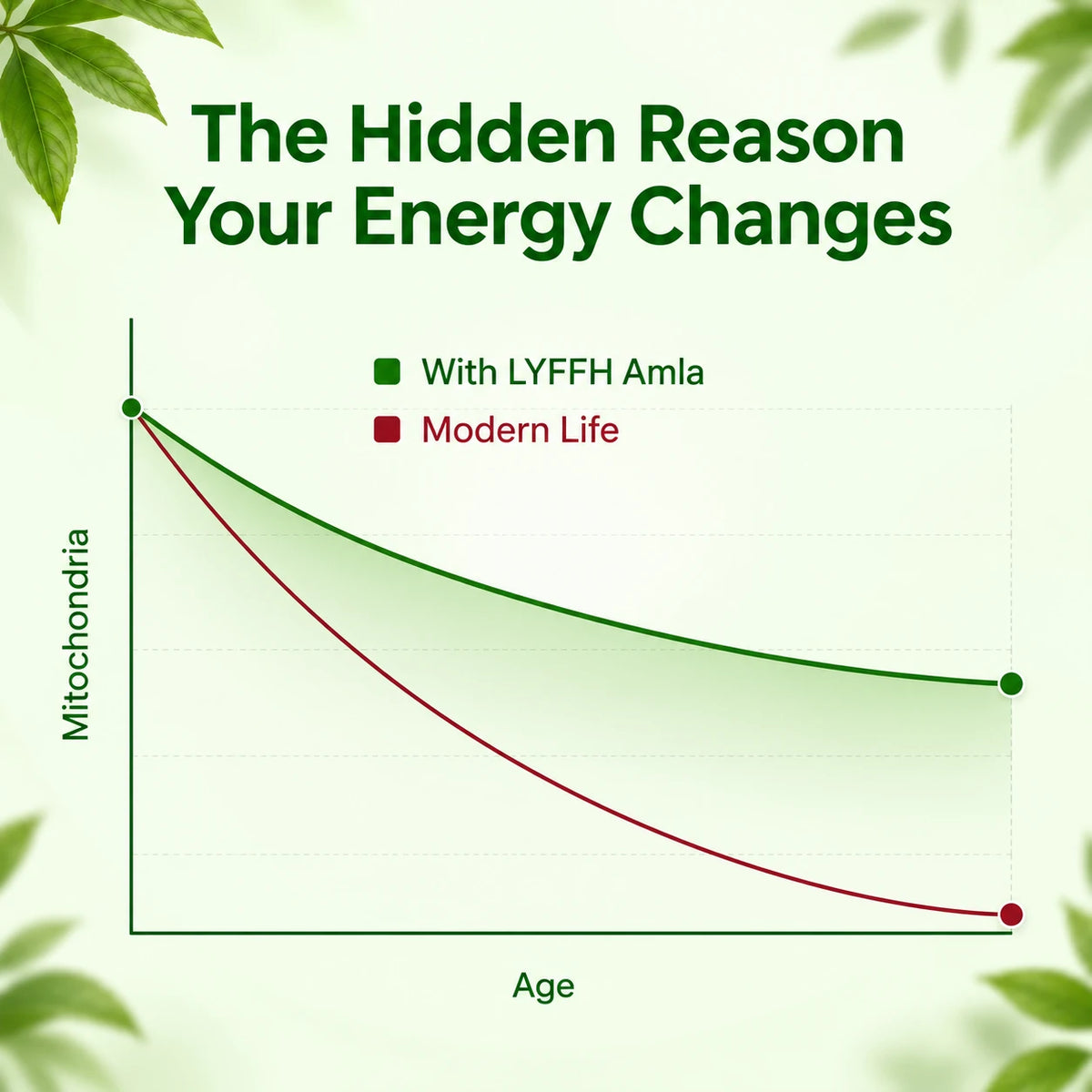 Cellular energy comparison graph