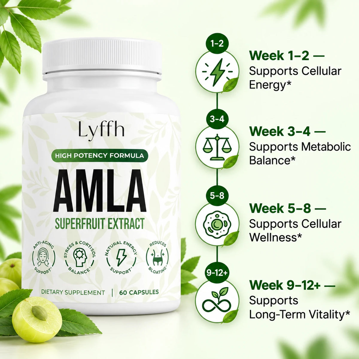 Amla wellness timeline