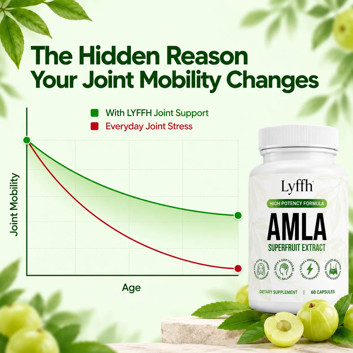 Illustrative chart of joint mobility over age with Lyffh support and everyday joint stress
