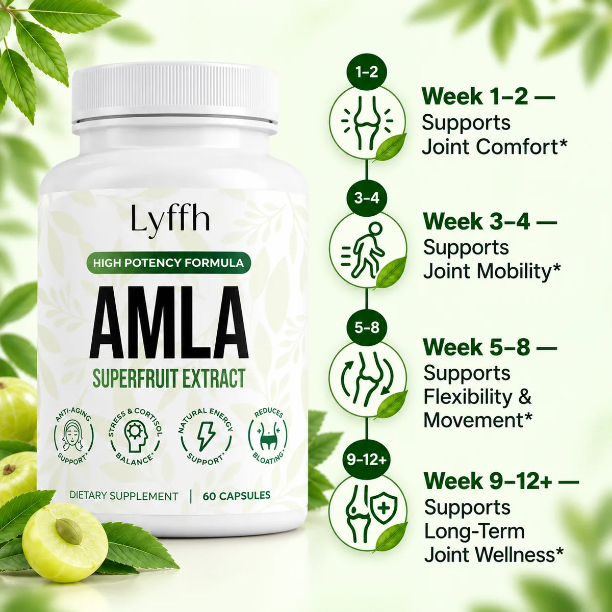 Joint wellness support timeline
