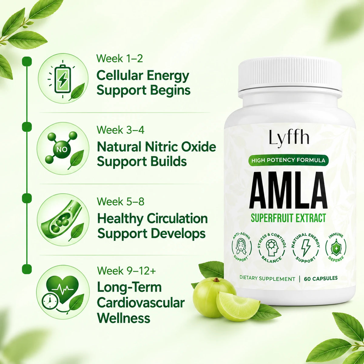 Heart wellness timeline
