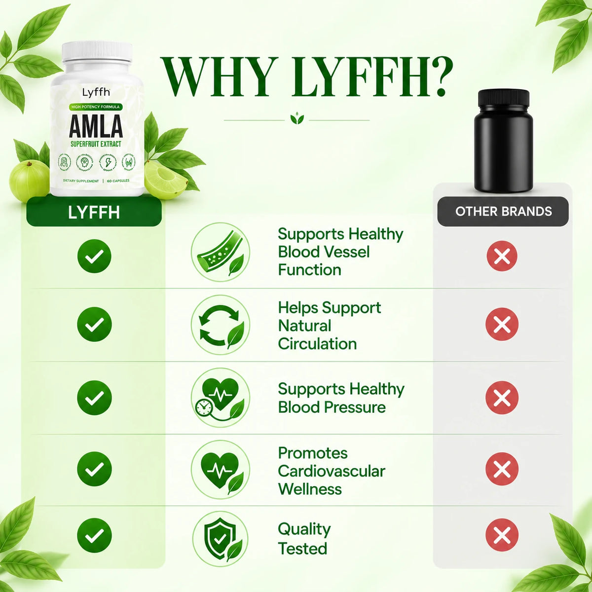 Why Lyffh vessel comparison